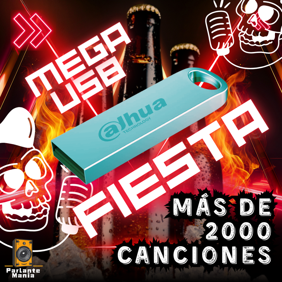 👨‍🎤MEGA USB FIESTA🔊